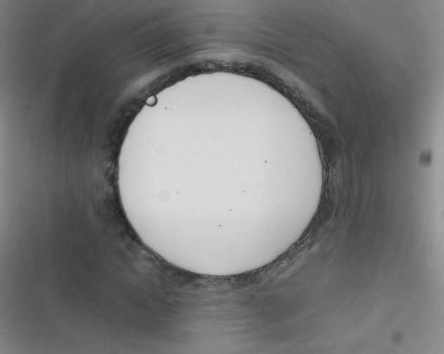 X0000116820822201001081415