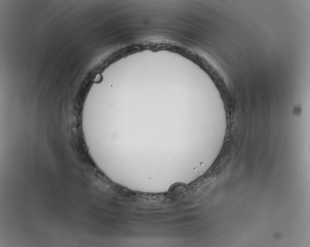 X0000116820823201001081415