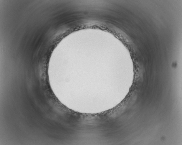 X0000116820824201001081415