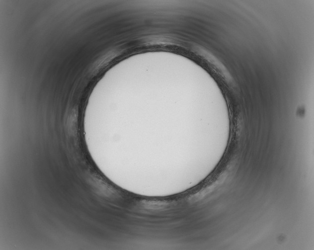 X0000116820825201001081415