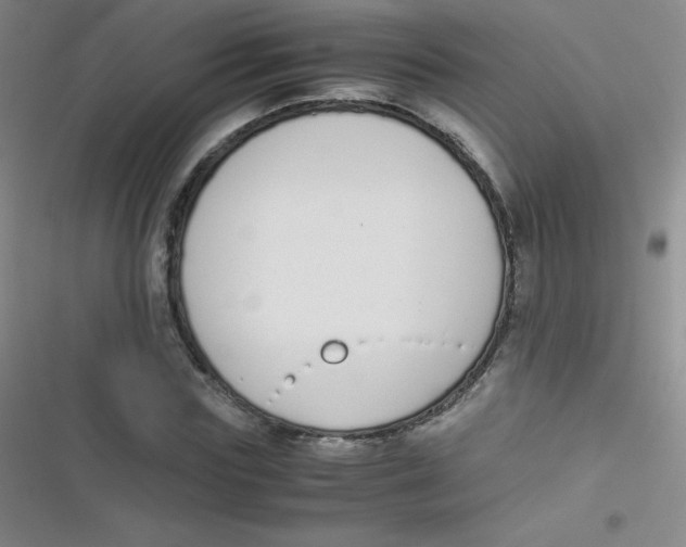 X0000116820827201001081415