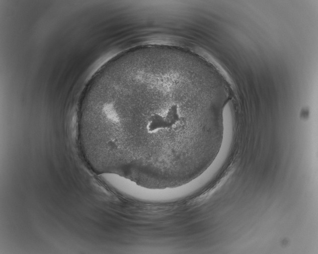 X0000116820829201001081415