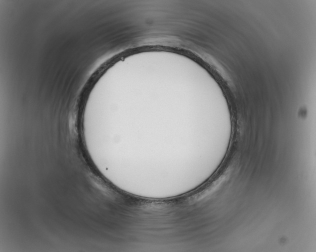 X0000116820830201001081415