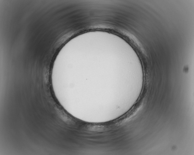 X0000116820833201001081415