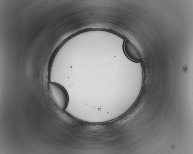 X0000116820837201001081415