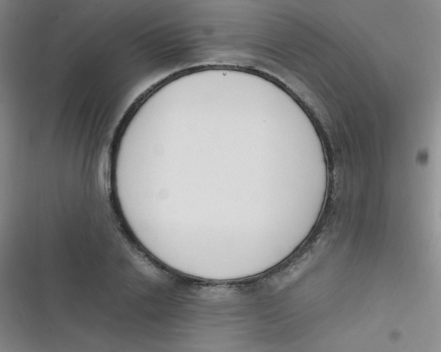 X0000116820838201001081415