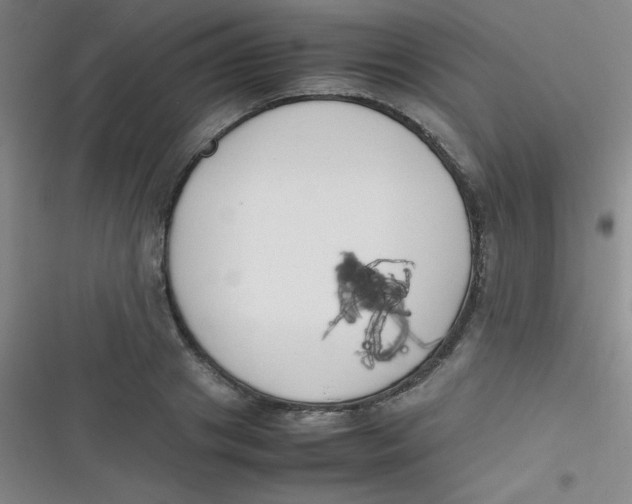 X0000116820841201001081415