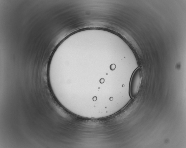 X0000116820842201001081415