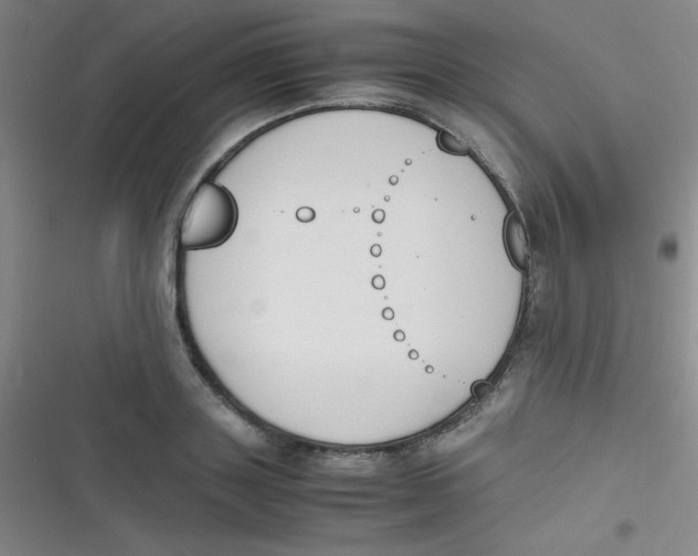 X0000116820843201001081415