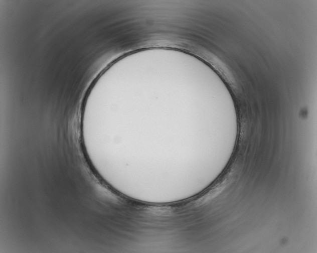 X0000116820844201001081415