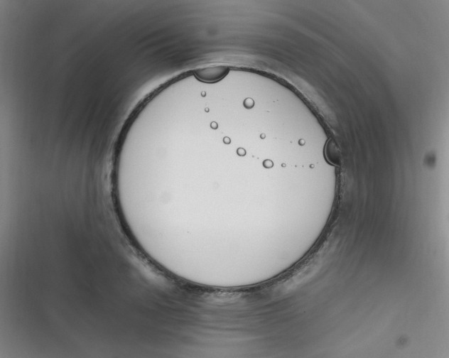 X0000116820846201001081415