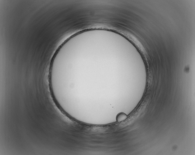 X0000116820847201001081415