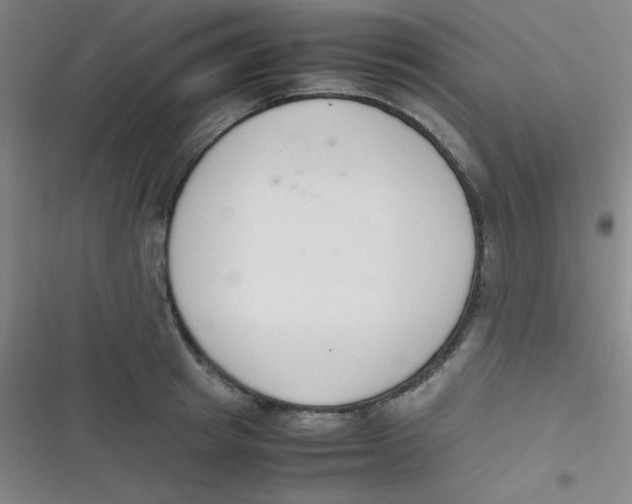 X0000116820849201001081415