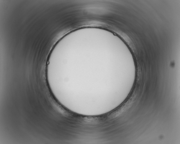 X0000116820850201001081415