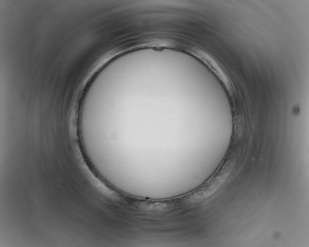 X0000116820851201001081415