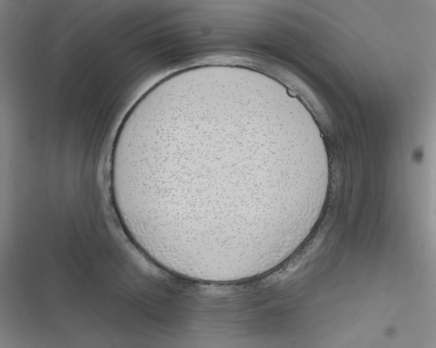 X0000116820852201001081415