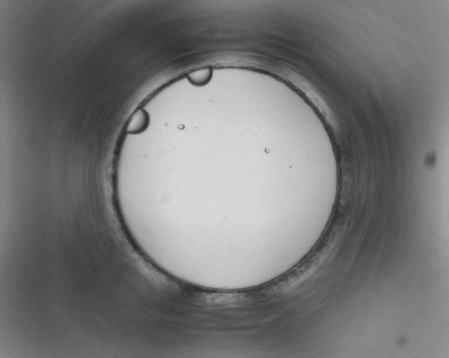 X0000116820853201001081415