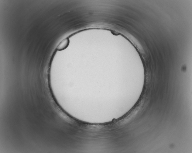 X0000116820854201001081415