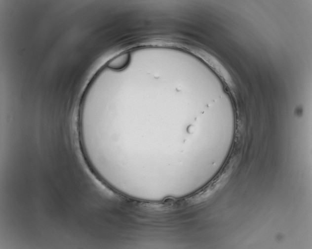 X0000116820855201001081415