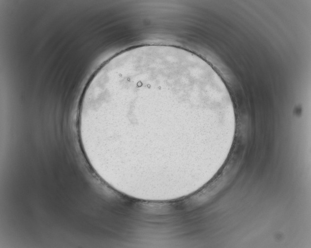 X0000116820856201001081415