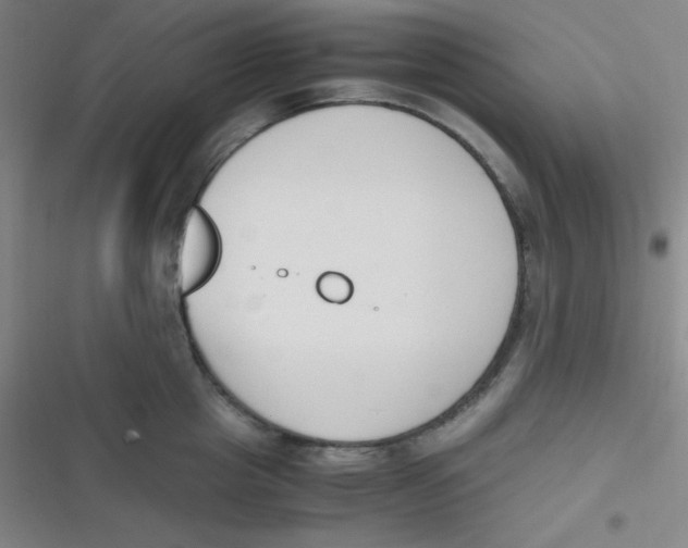 X0000116820857201001081415