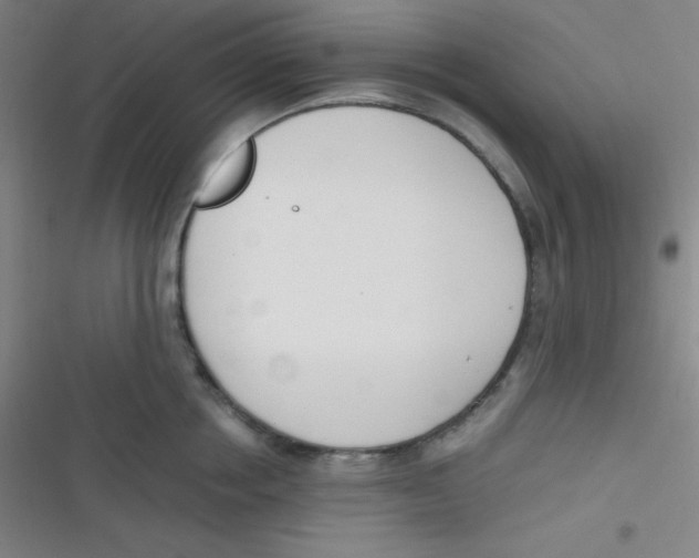 X0000116820858201001081415