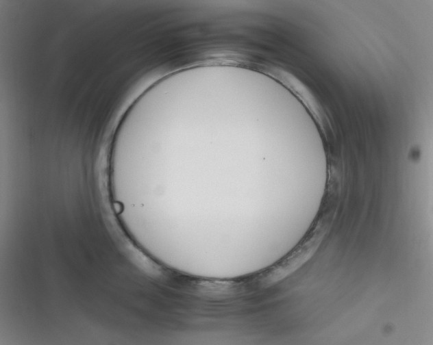 X0000116820859201001081415