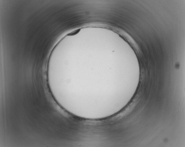 X0000116820860201001081415