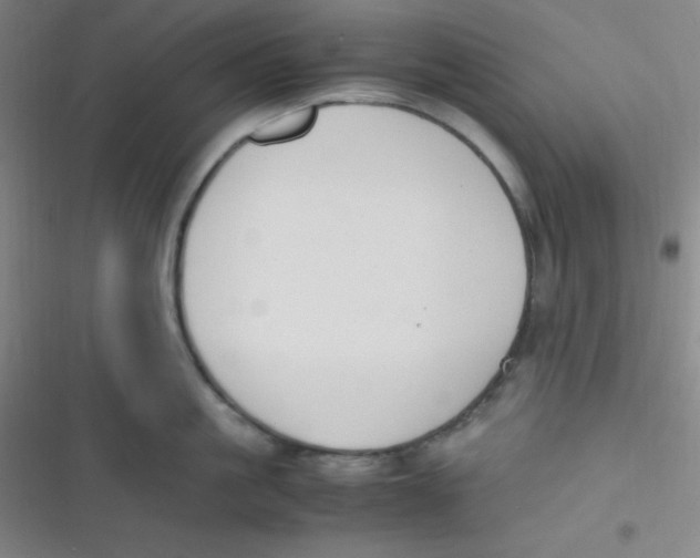 X0000116820861201001081415