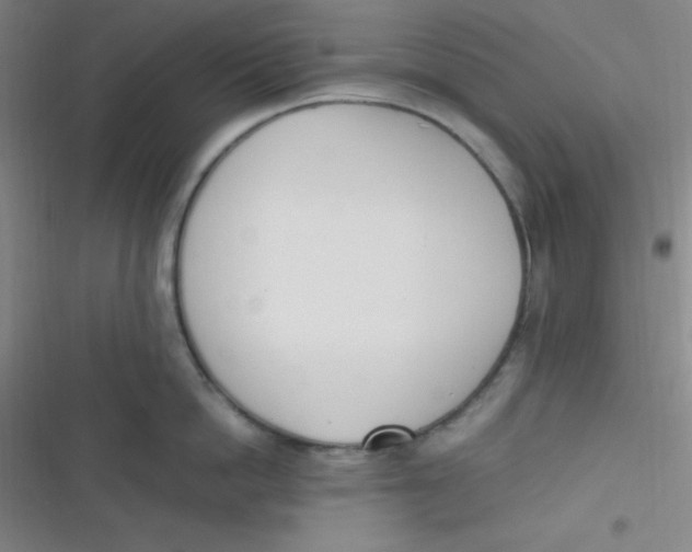 X0000116820862201001081415