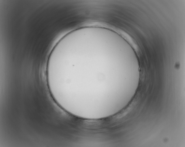 X0000116820863201001081415