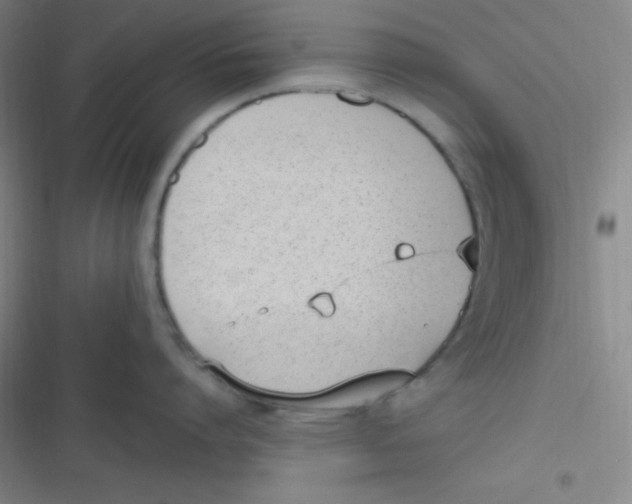 X0000116820864201001081415