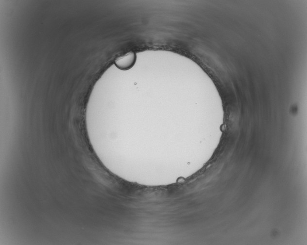 X0000116820865201001081415