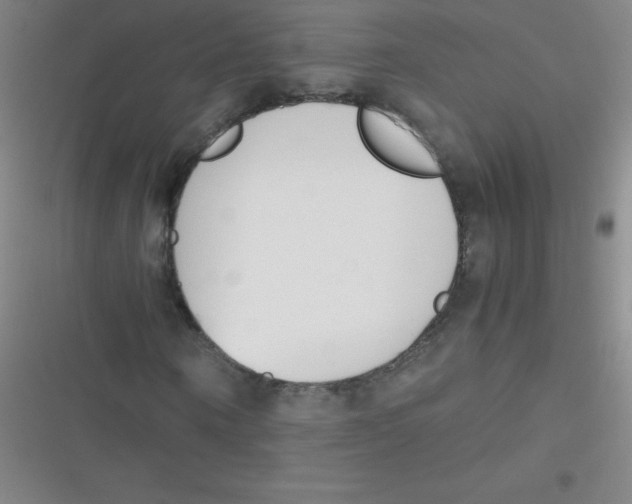 X0000116820866201001081415