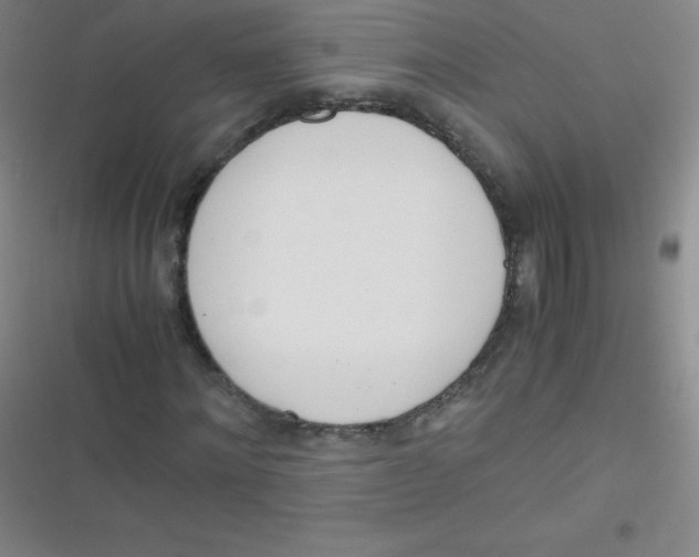 X0000116820868201001081415