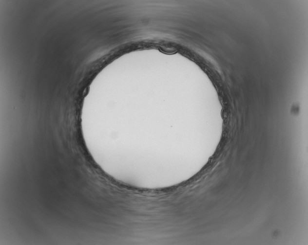 X0000116820869201001081415