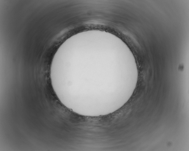 X0000116820870201001081415