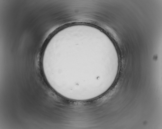 X0000116820875201001081414