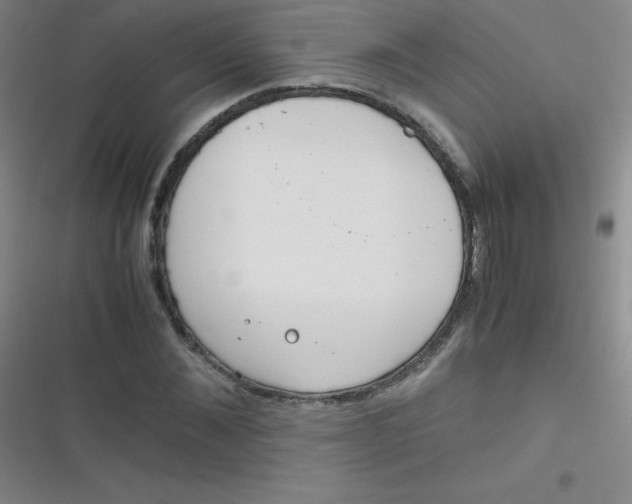 X0000116820876201001081414