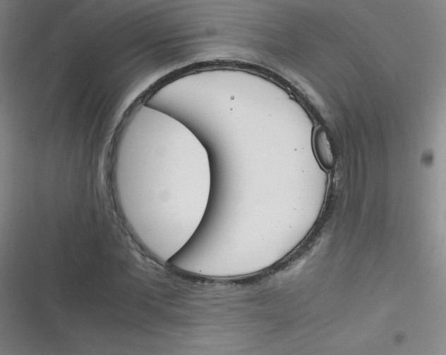 X0000116820877201001081414