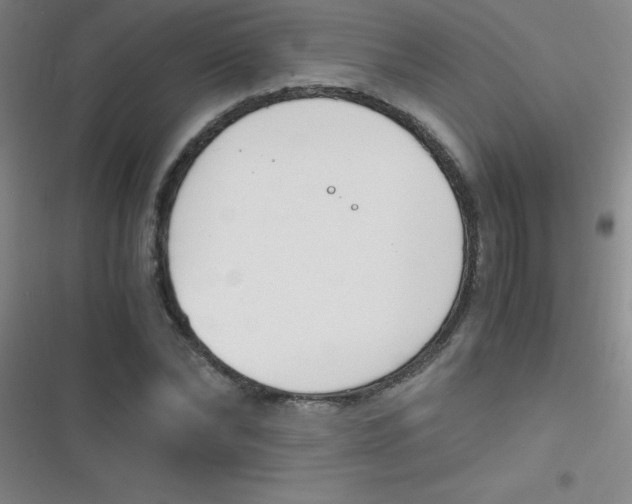 X0000116820878201001081414