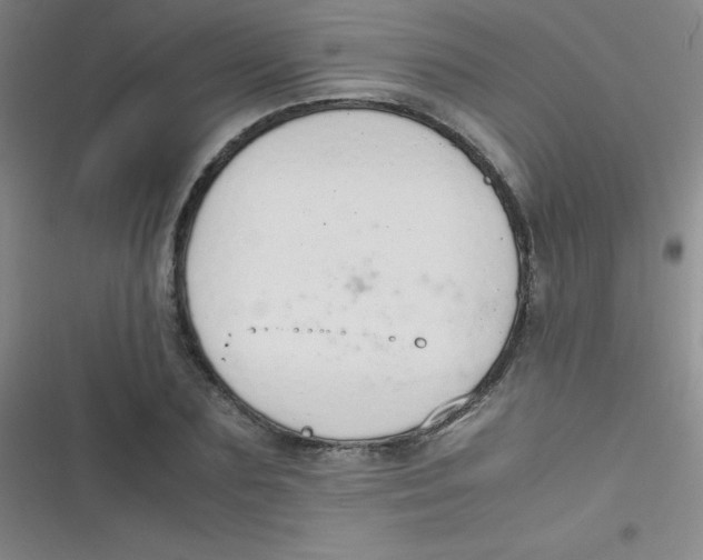 X0000116820883201001081414