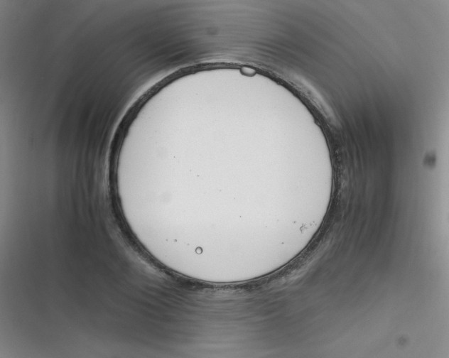 X0000116820884201001081414