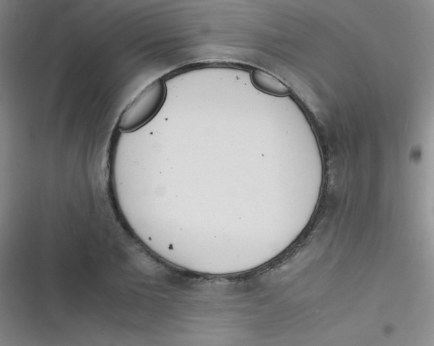 X0000116820885201001081414