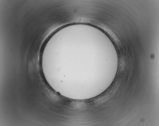 X0000116820886201001081414