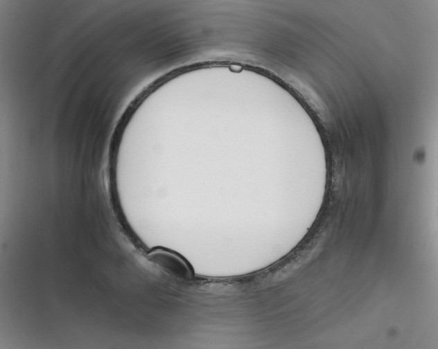 X0000116820888201001081414