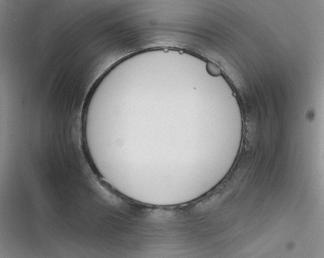 X0000116820890201001081414