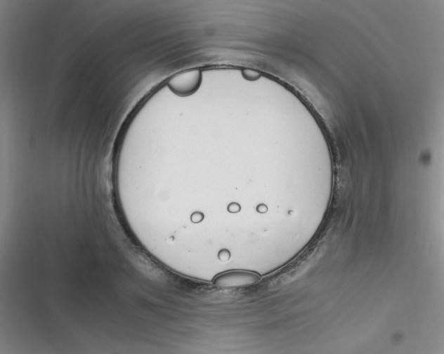 X0000116820891201001081414