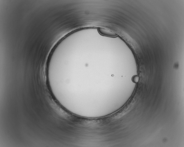 X0000116820892201001081414