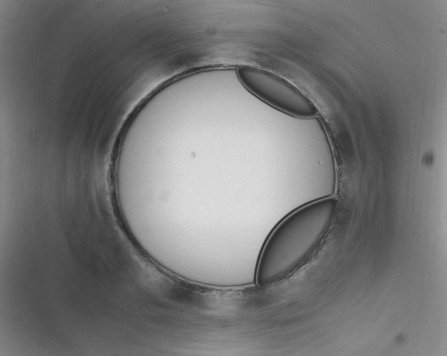 X0000116820893201001081414